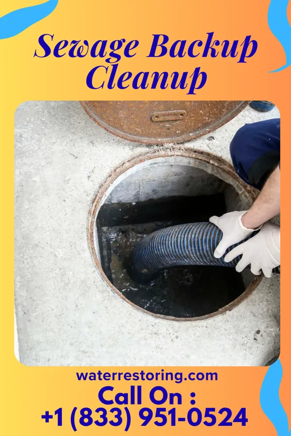 Sewage Backup Cleanup in County Center, VA