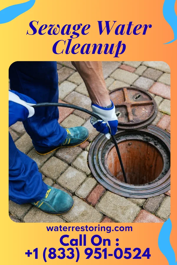 Sewage Water Cleanup in County Center, VA